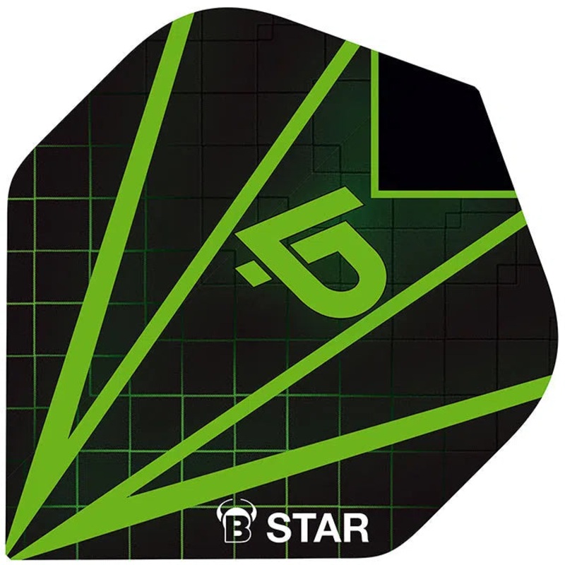 Bull’s DE B-Star A Standard Luc Peters Flights