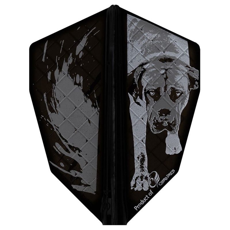 Fit Flight Pro Lukasz Waclawski Dart Flights – S-4