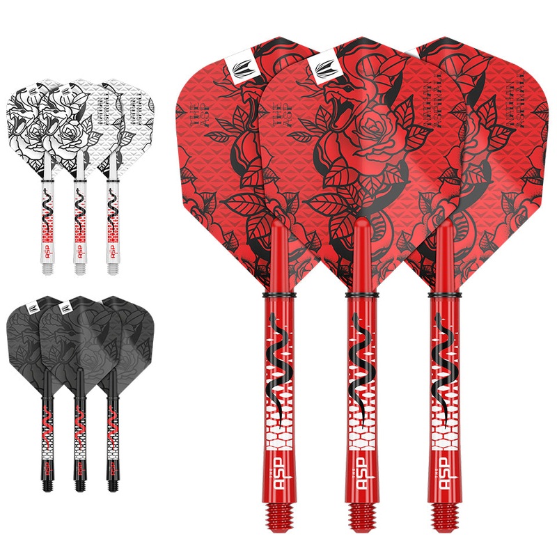 Target Nathan Aspinall Ink Flight & Shaft Kit – Medium