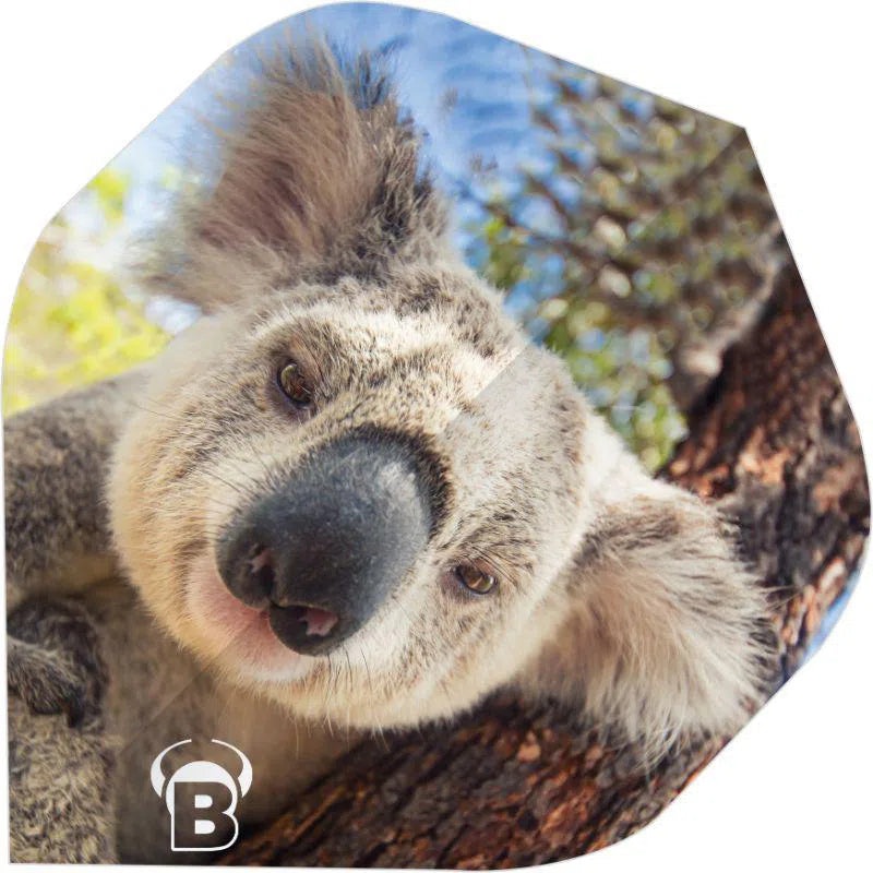 Bull’s DE Motex Dart Flights – Koala