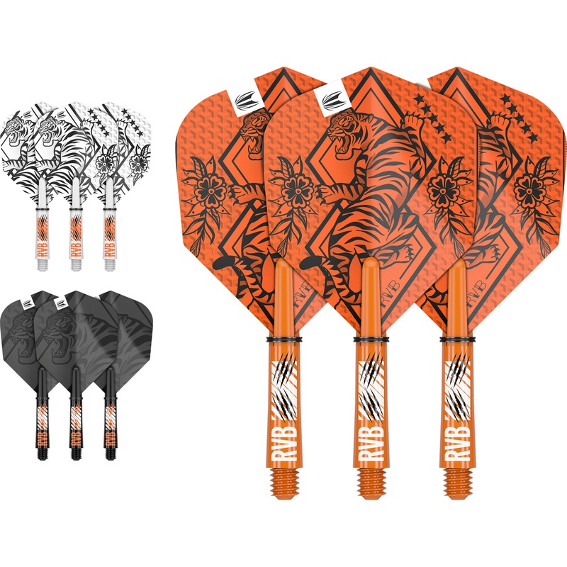 Raymond Van Barneveld Ink Flight & Shaft Kit by Target Short