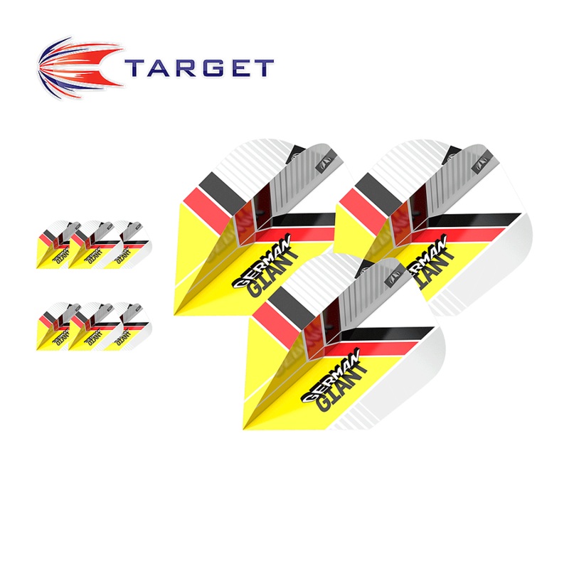 Target Gabriel Clemens G2 x 3 Sets Pro.Ultra Flight Bagged 2023 No6 Shape