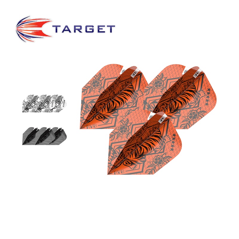 Target Raymond van Barneveld Ink Bundle x 3 Sets Flight Bagged 2025 Ten-X