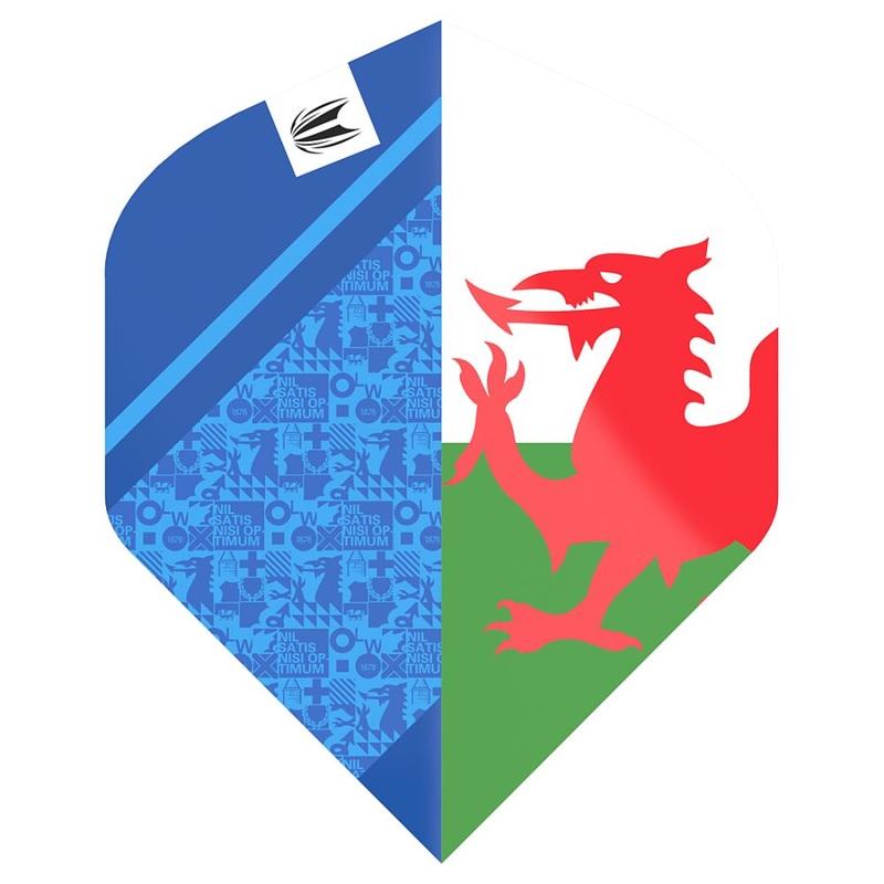 Target Lewy Wiliams Flights No2 Standard