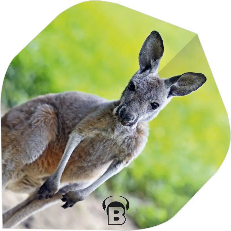 Bull’s DE Motex Dart Flights – Kangaroo