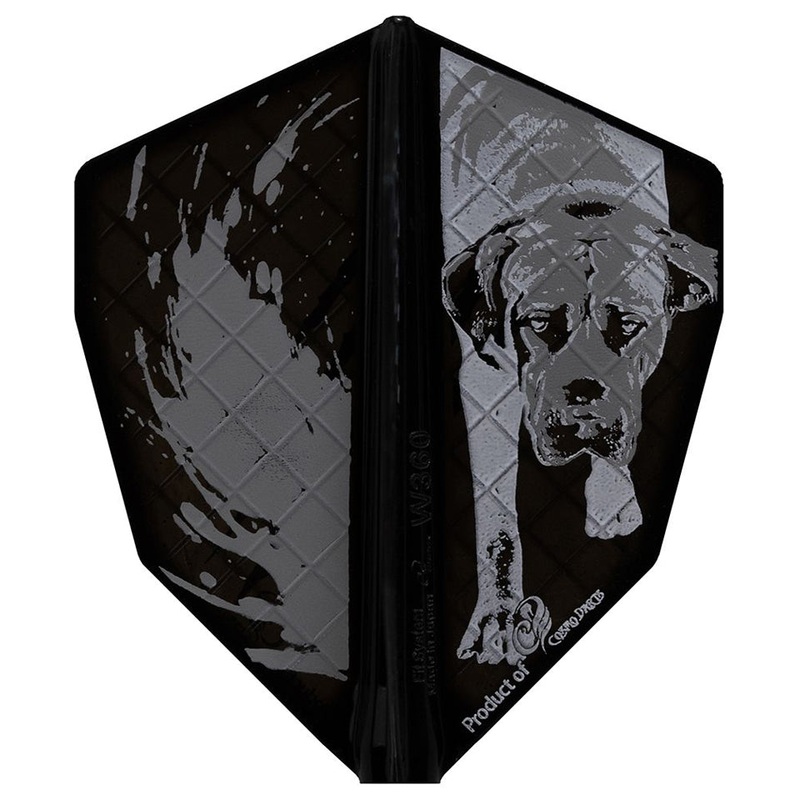 Fit Flight Pro Lukasz Waclawski Dart Flights – S-5